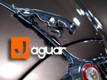Jaguar Gallery