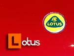 Lotus Gallery