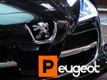 Peugeot Gallery